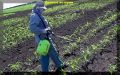 �������� ���������: ��� �������� ������������ ������ �� ����� ��������