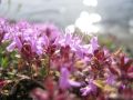Фото Марии Ореховой