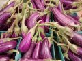 Как вырастить баклажаны с идеальным вкусом: секреты успешного ухода в июле