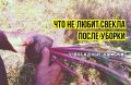 ������ ��� ������ ������: ��� ��������� �������� � ���� �����������