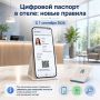 С сентября гостиницы начнут принимать цифровые паспорта в мессенджере MAX