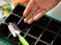 Первые шаги к весеннему урожаю: какие культуры сеять уже сейчас