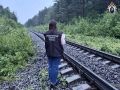 Следователи устанавливают обстоятельства гибели мужчины на железной дороге в Пряжинском районе