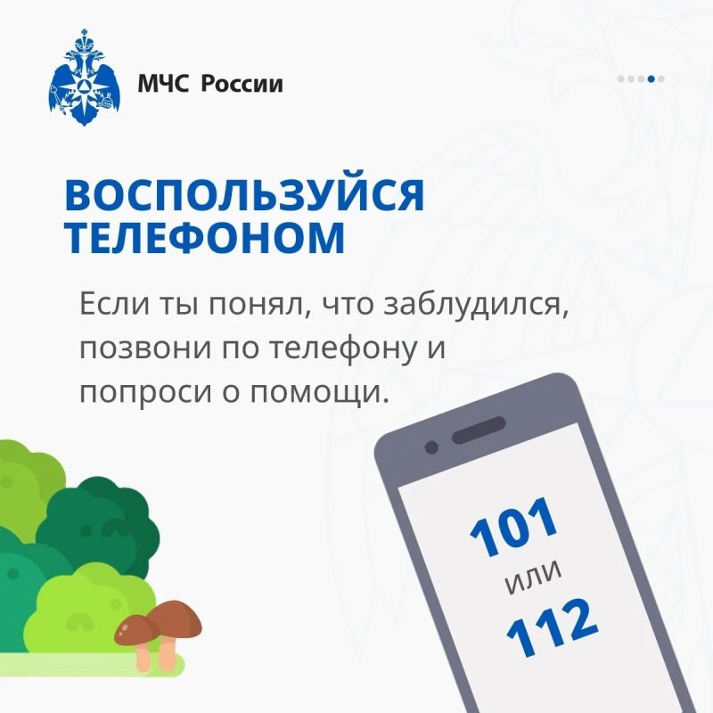 Заблудился в лесу, что делать? Заблудился в лесу, что делать?