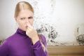 Ежемесячная уборка: как сохранить здоровье и защитить дом от плесени
