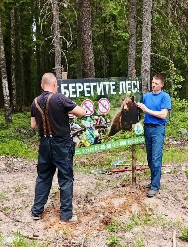 В Карелию всё-таки идёт тепло, а вместе с ним возрастает опасность лесных пожаров