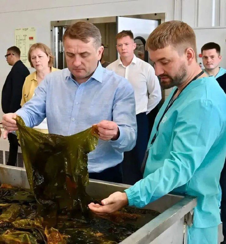 В Карелии создают уникальное производство продукции из водорослей Белого моря В Карелии создают уникальное производство продукции из водорослей Белого моря