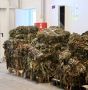 В Карелии создают уникальное производство продукции из водорослей Белого моря