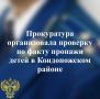 Прокуратура организовала проверку по факту пропажи детей в Кондопожском районе