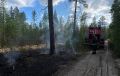 Лесной пожар потушили в Калевальском районе