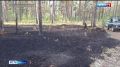 Лесной пожар оперативно ликвидировали неподалеку от поселка Боровой в Калевальском районе