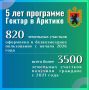 ����� �����������: �������� � ������� ���� ���, ������� ����� �������� �����