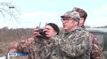 В Минприроды Карелии объявили даты приема заявлений на добычу лося