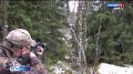 Сегодня в Карелии начался прием заявлений на добычу лося