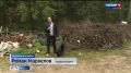 Вместо грибов и ягод - горы мусора