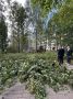 ����� ����� �������� � ���������� �� ������� ���