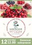 Петрозаводчан и гостей города приглашают на День карельской ягоды! Будут призы, угощение, караоке и многое другое!