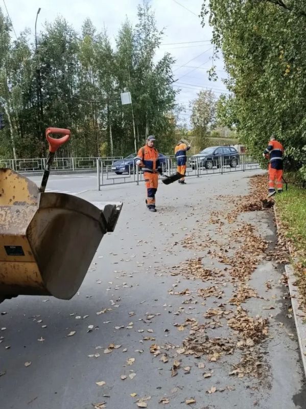 Колыхматова: Доброе утро, Петрозаводск! Колыхматова: Доброе утро, Петрозаводск!