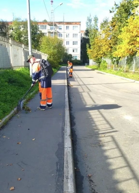 Колыхматова: Доброе утро, Петрозаводск! Колыхматова: Доброе утро, Петрозаводск!