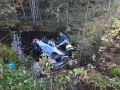В Карелии автомобиль столкнулся с лосем и вылетел в реку