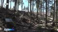 Сегодня на памятном месте «Высота 168,5» откроют Аллею Памяти