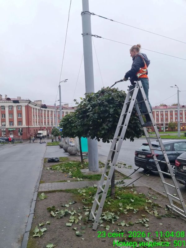 Осенний душ устроили памятникам в Петрозаводске Осенний душ устроили памятникам в Петрозаводске