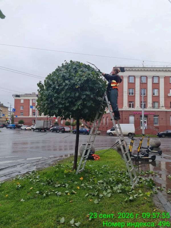 Осенний душ устроили памятникам в Петрозаводске Осенний душ устроили памятникам в Петрозаводске