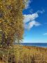 Осень у Белого моря. Фото Татьяны Каньшиевой