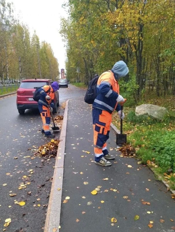 Колыхматова: Уборку ведём во всех районах Петрозаводска Колыхматова: Уборку ведём во всех районах Петрозаводска
