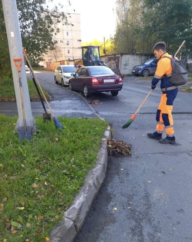 Колыхматова: Уборку ведём во всех районах Петрозаводска Колыхматова: Уборку ведём во всех районах Петрозаводска