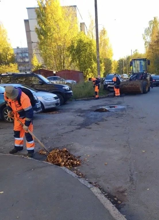 Колыхматова: Уборку ведём во всех районах Петрозаводска Колыхматова: Уборку ведём во всех районах Петрозаводска