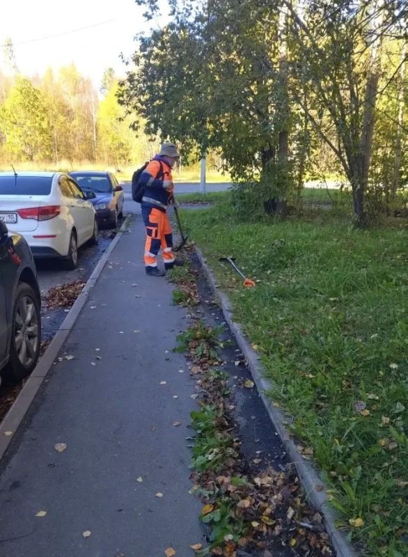Колыхматова: Уборку ведём во всех районах Петрозаводска Колыхматова: Уборку ведём во всех районах Петрозаводска
