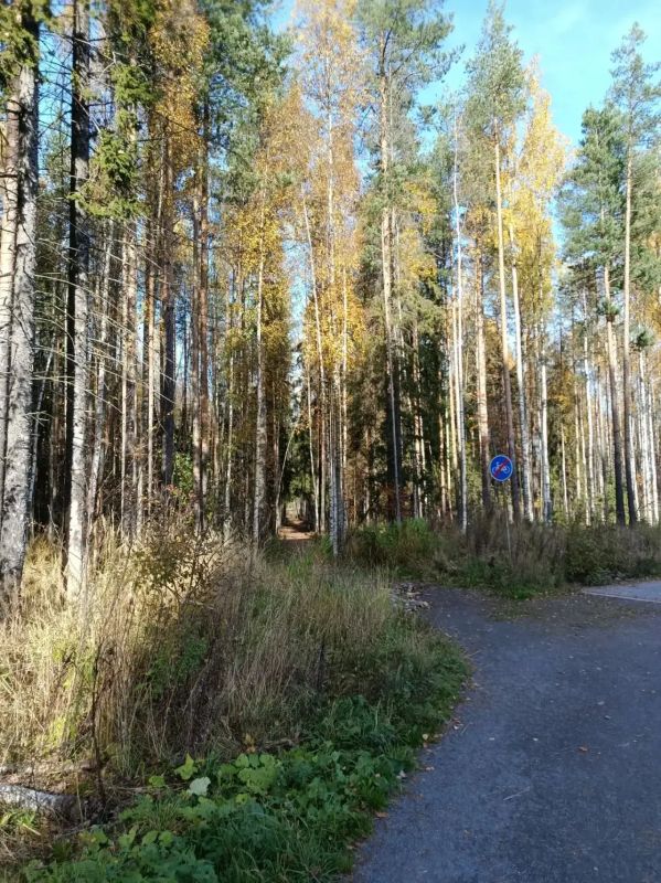 Колыхматова: В парке «Неглинский берег» на Древлянке оборудуем освещение Колыхматова: В парке «Неглинский берег» на Древлянке оборудуем освещение