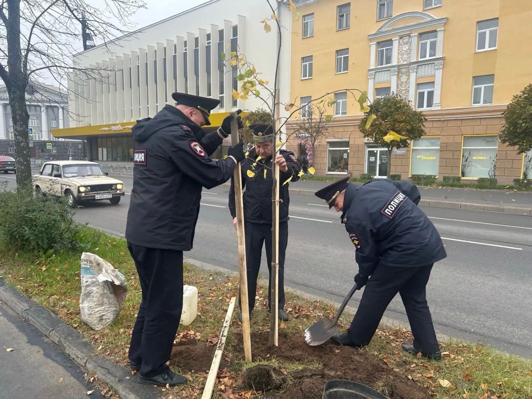 Колыхматова: Золотая пора в городе! А мы не забываем вместе высаживать кустарники, деревья и делать Петрозаводск зеленым! Колыхматова: Золотая пора в городе! А мы не забываем вместе высаживать кустарники, деревья и делать Петрозаводск зеленым!