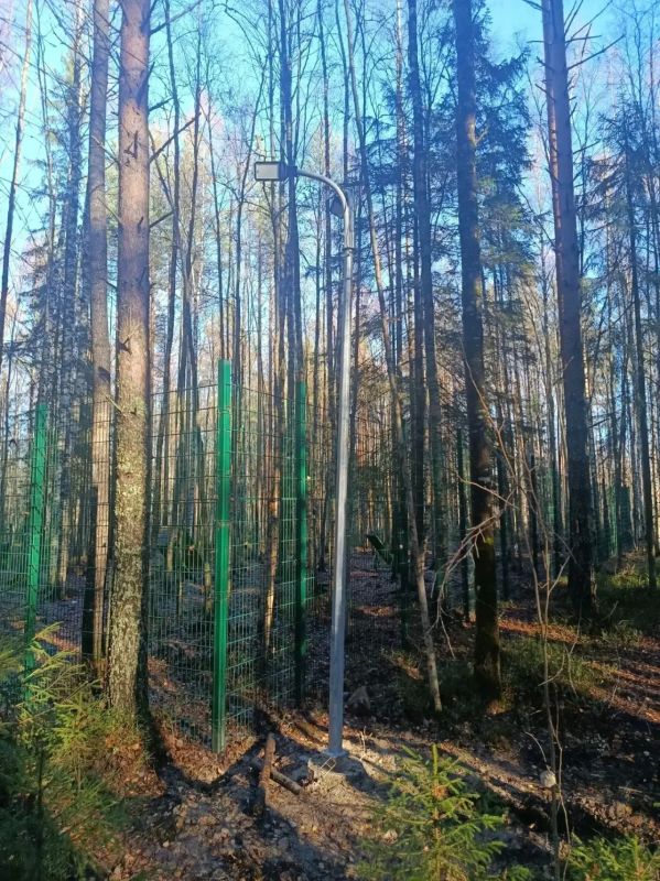 Колыхматова: Фотофакт: в парке «Неглинский берег» установили опоры освещения и светильники Колыхматова: Фотофакт: в парке «Неглинский берег» установили опоры освещения и светильники