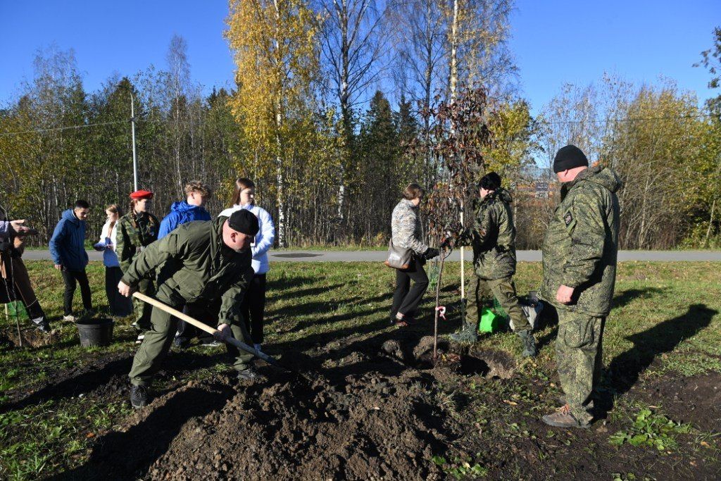 В столице Карелии высадили «Сад памяти» в честь героев СВО В столице Карелии высадили «Сад памяти» в честь героев СВО