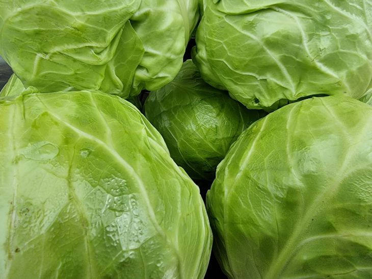 Три новых и вкусных блюда из молодой капусты: многие хозяйки сейчас готовят их