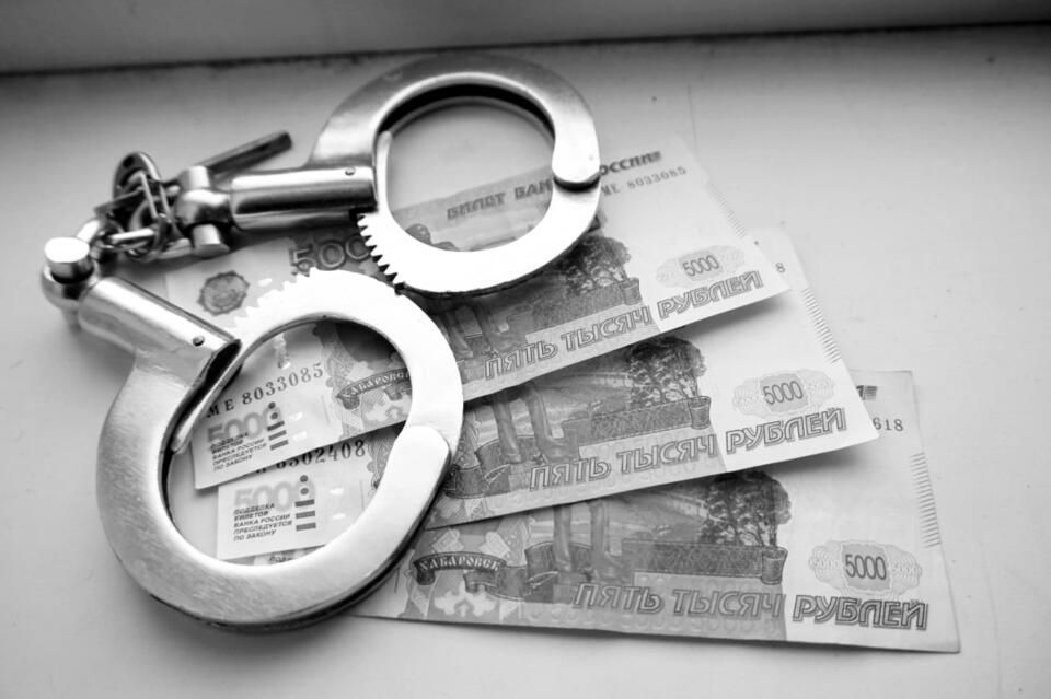 Мошенничество с соцвыплатами: что известный случай Анны Лагуткиной значит для всех нас