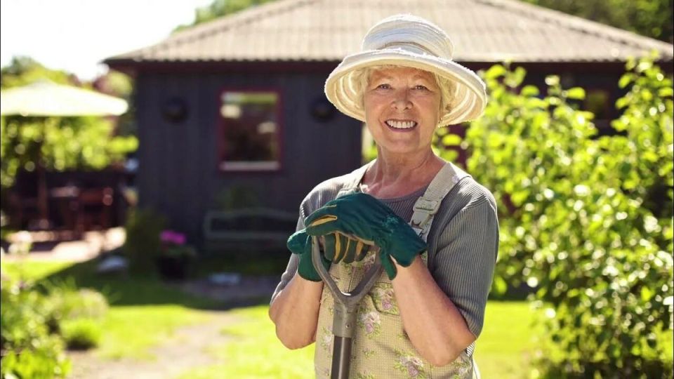 Налоговые льготы для садоводов: что нужно знать