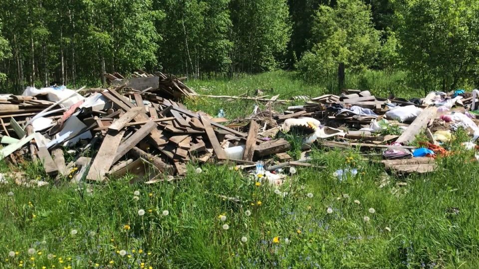 Пенсионерка оказалась в центре судебного скандала: 300 тысяч рублей за мусор на дачном участке