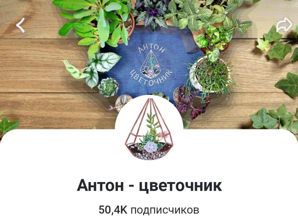 Как блогер добился успеха: Путь к 50 тысячам подписчиков