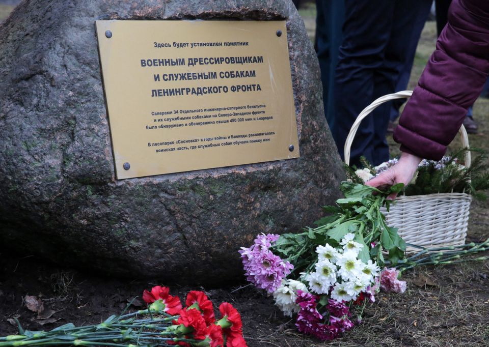 Плевок в историю: новый закон наказывает за неуважение к память павших