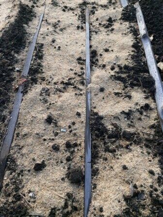 Как подготовить грядку для посева моркови под зиму