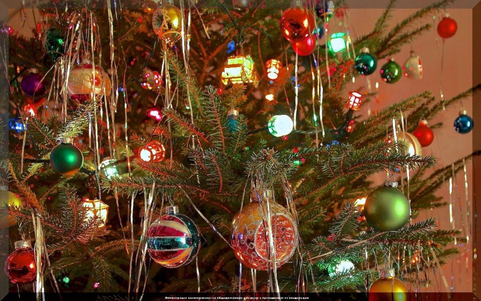 Как продлить жизнь новогодней елки: 8 полезных советов