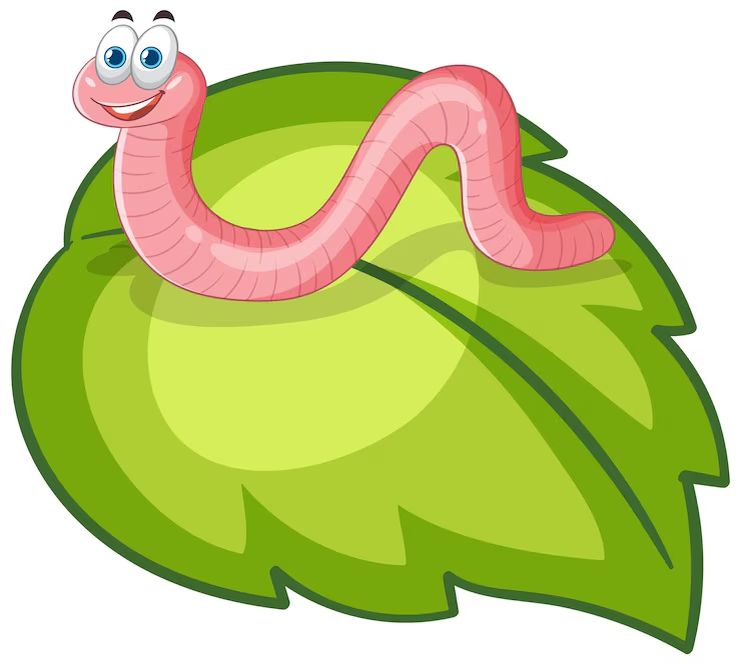 Как дождевые черви помогают улучшить почву: секреты успешного сада