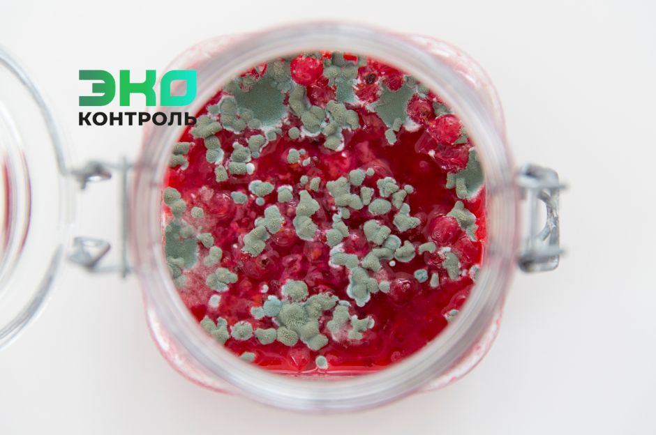 Плесень на варенье: как избежать риска для здоровья