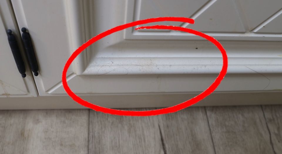 Как быстро освежить кухню после лета: простые и эффективные советы