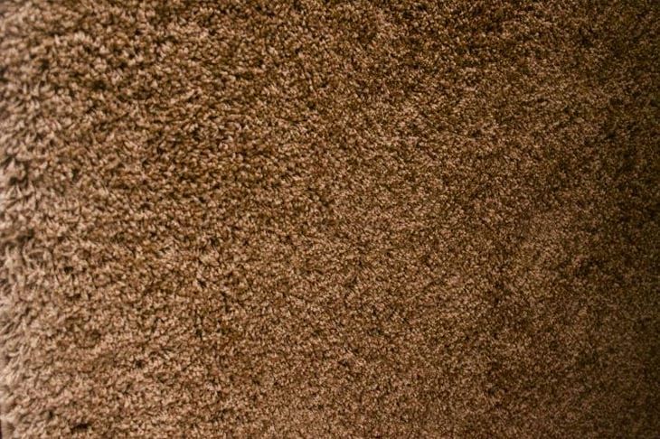 Как вывести запах кошачьей мочи с ковра: домашние способы