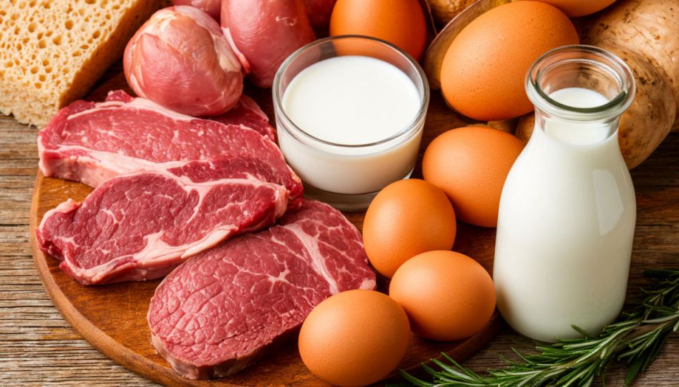 Альтернативные продукты: будущее без мяса и молока