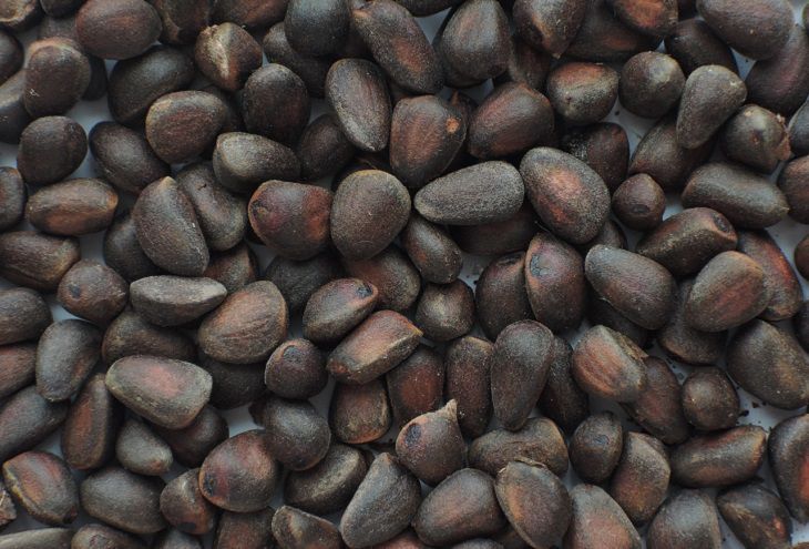 Так есть кедровые орехи нельзя: до отравления рукой подать